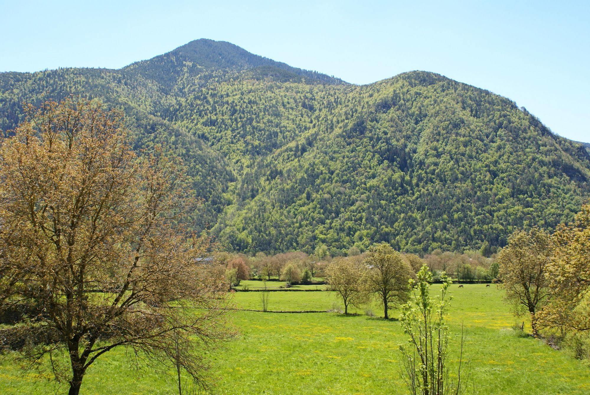 Casa Martin Ordesa Guest House Sarvise Bagian luar foto